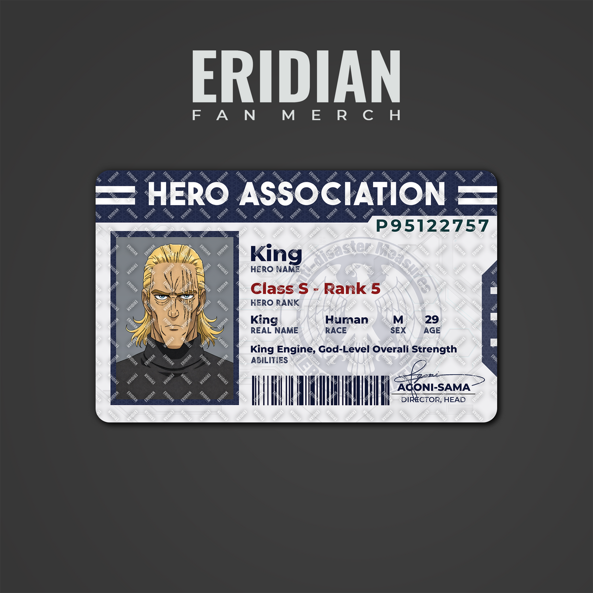 One Punch Man Hero Association ID