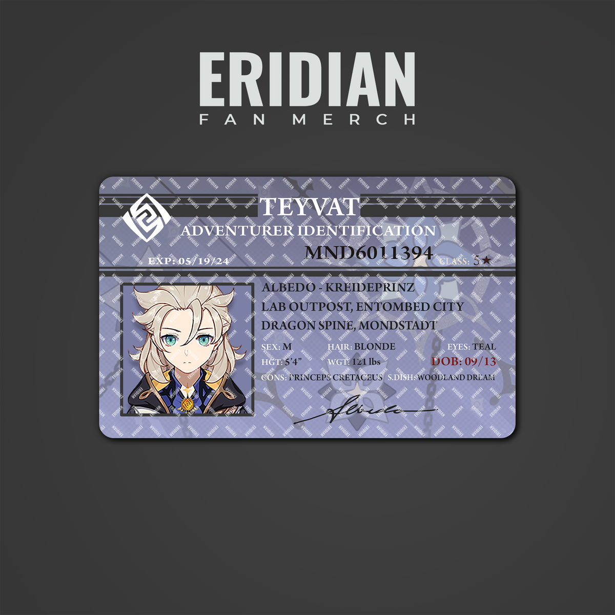 Genshin Impact Adventurer Identification