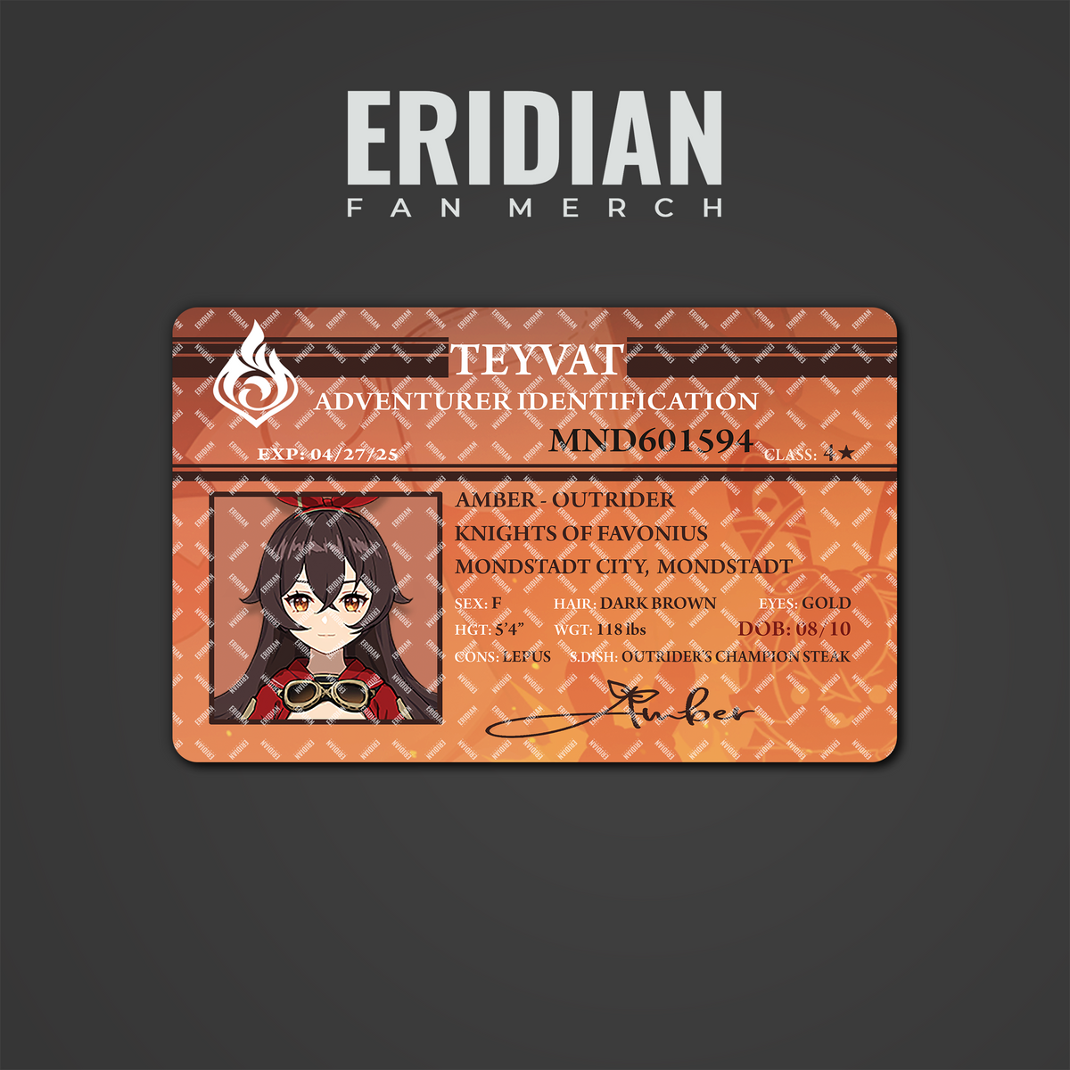 Genshin Impact Adventurer Identification