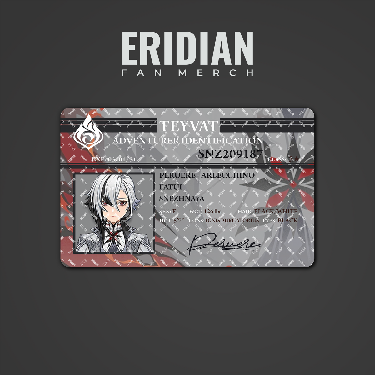 Genshin Impact Adventurer Identification