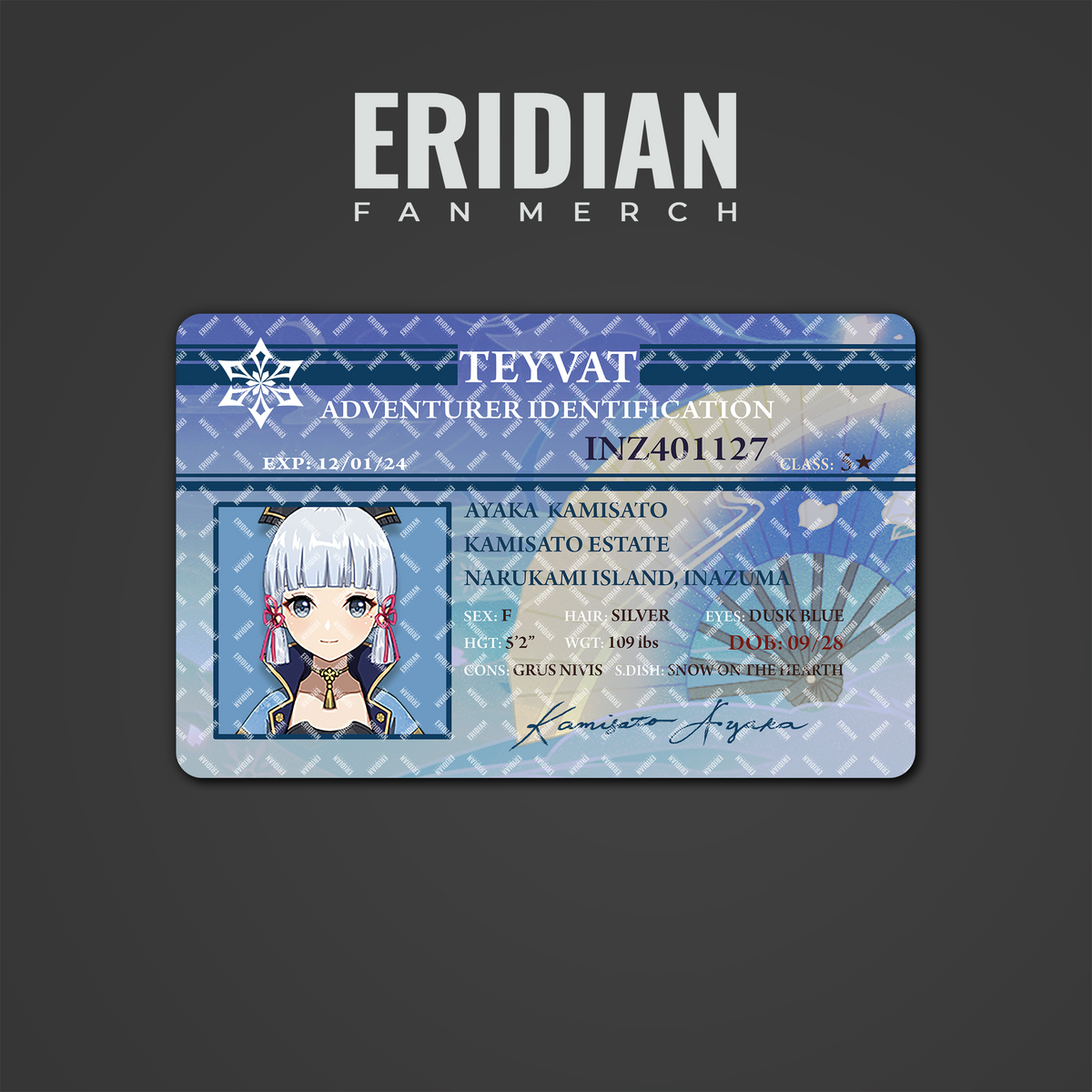 Genshin Impact Adventurer Identification