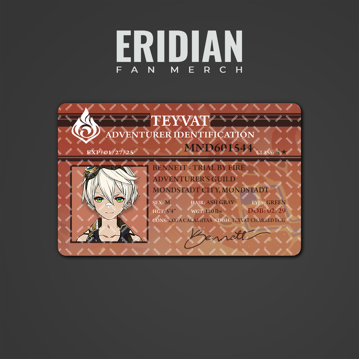 Genshin Impact Adventurer Identification
