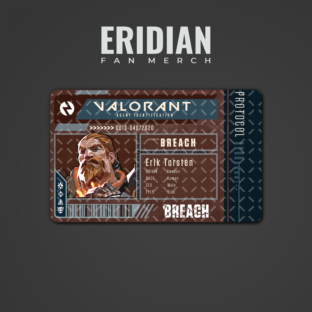 Valorant Protocol Agent Identification