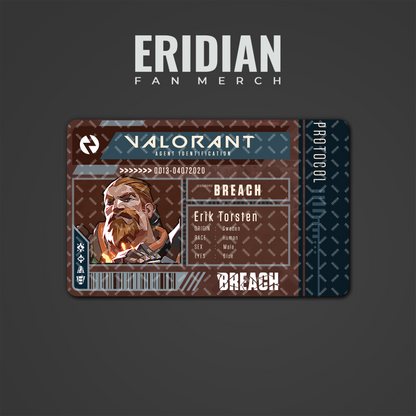 Valorant Protocol Agent Identification
