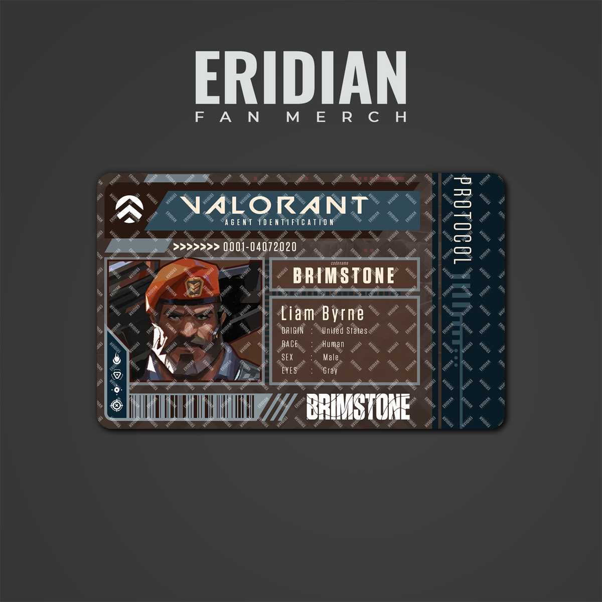 Valorant Protocol Agent Identification