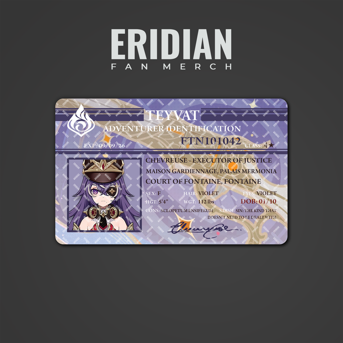 Genshin Impact Adventurer Identification