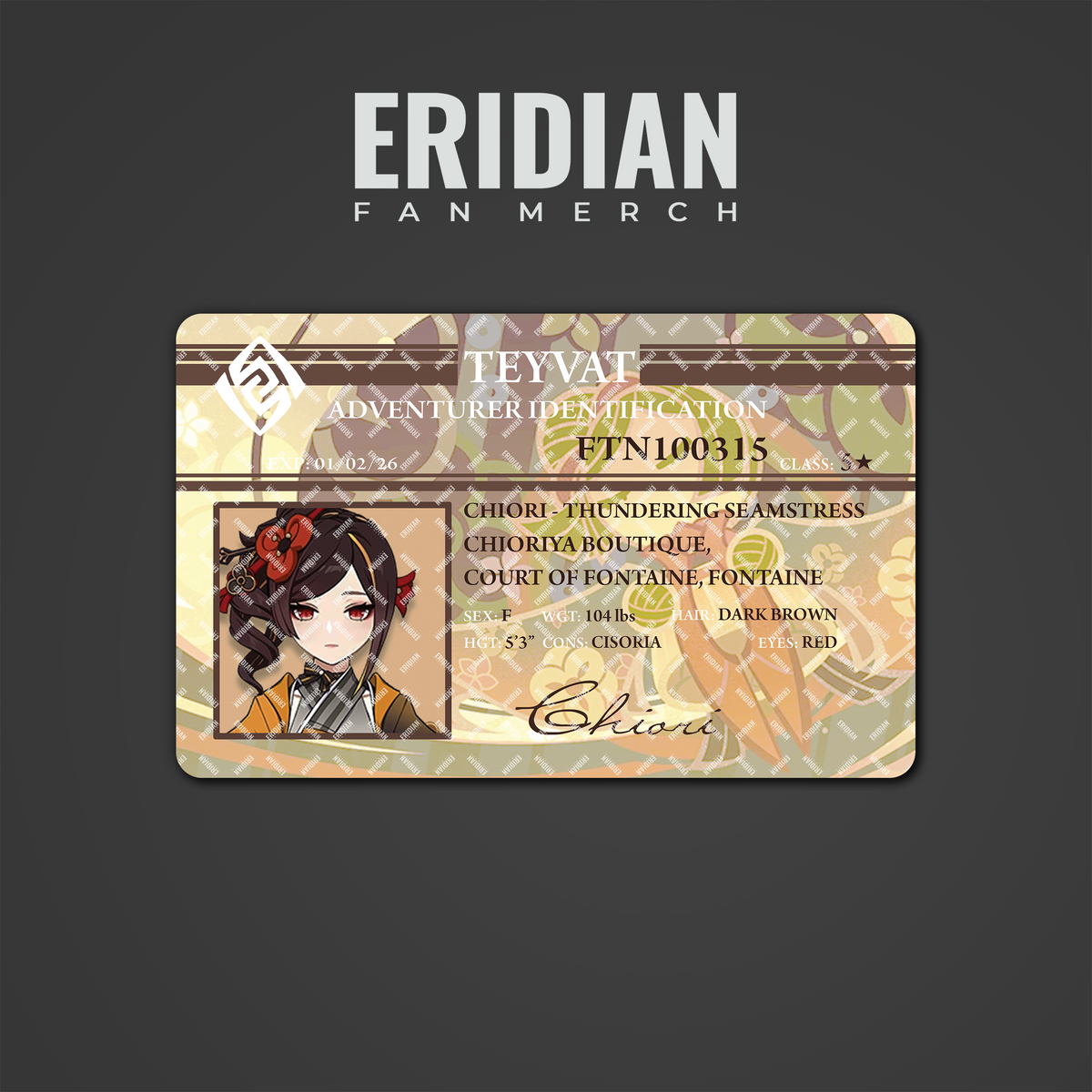 Genshin Impact Adventurer Identification