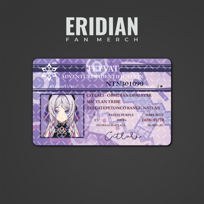 Genshin Impact Adventurer Identification