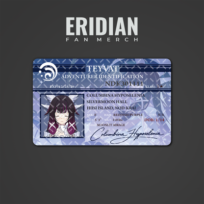 Genshin Impact Adventurer Identification