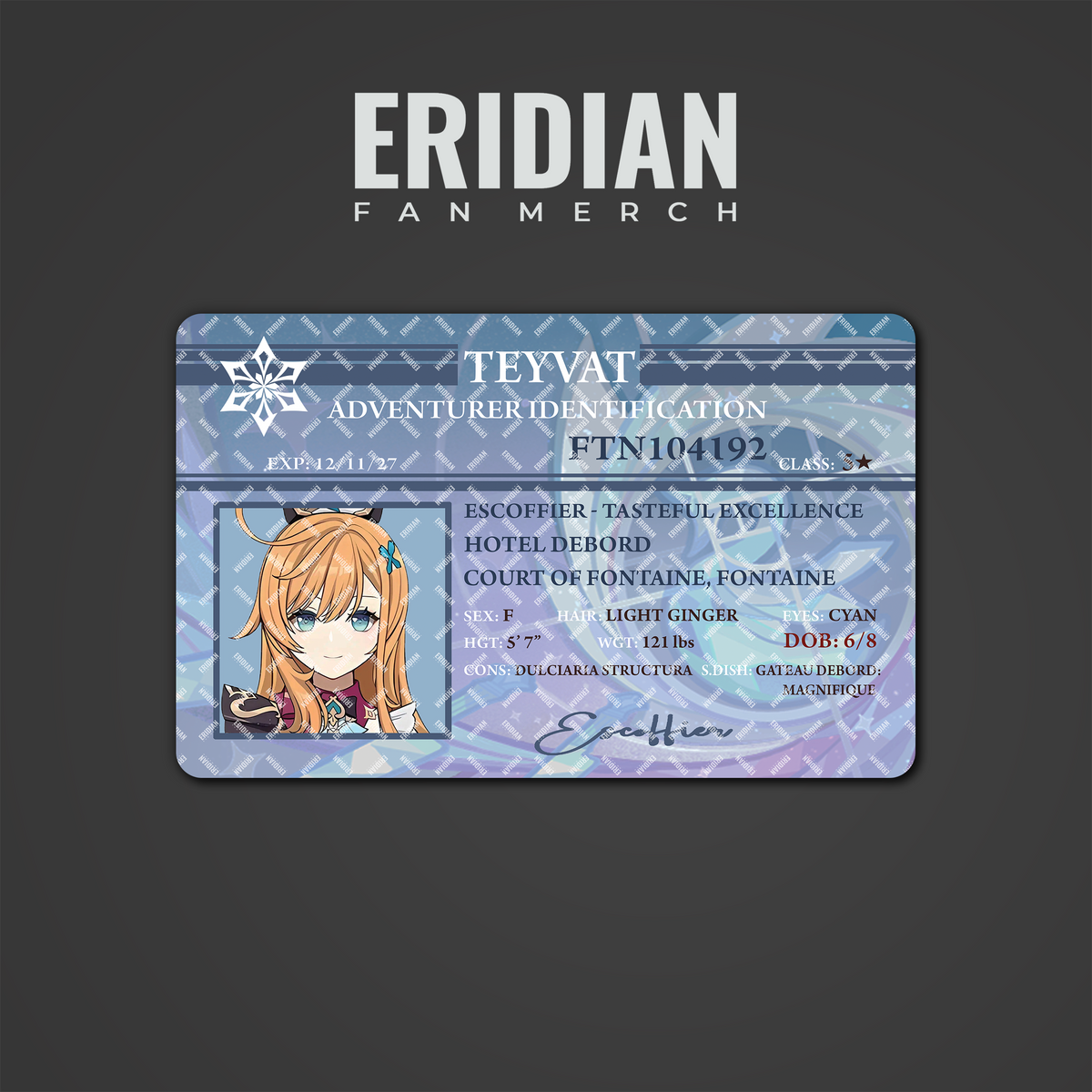 Genshin Impact Adventurer Identification