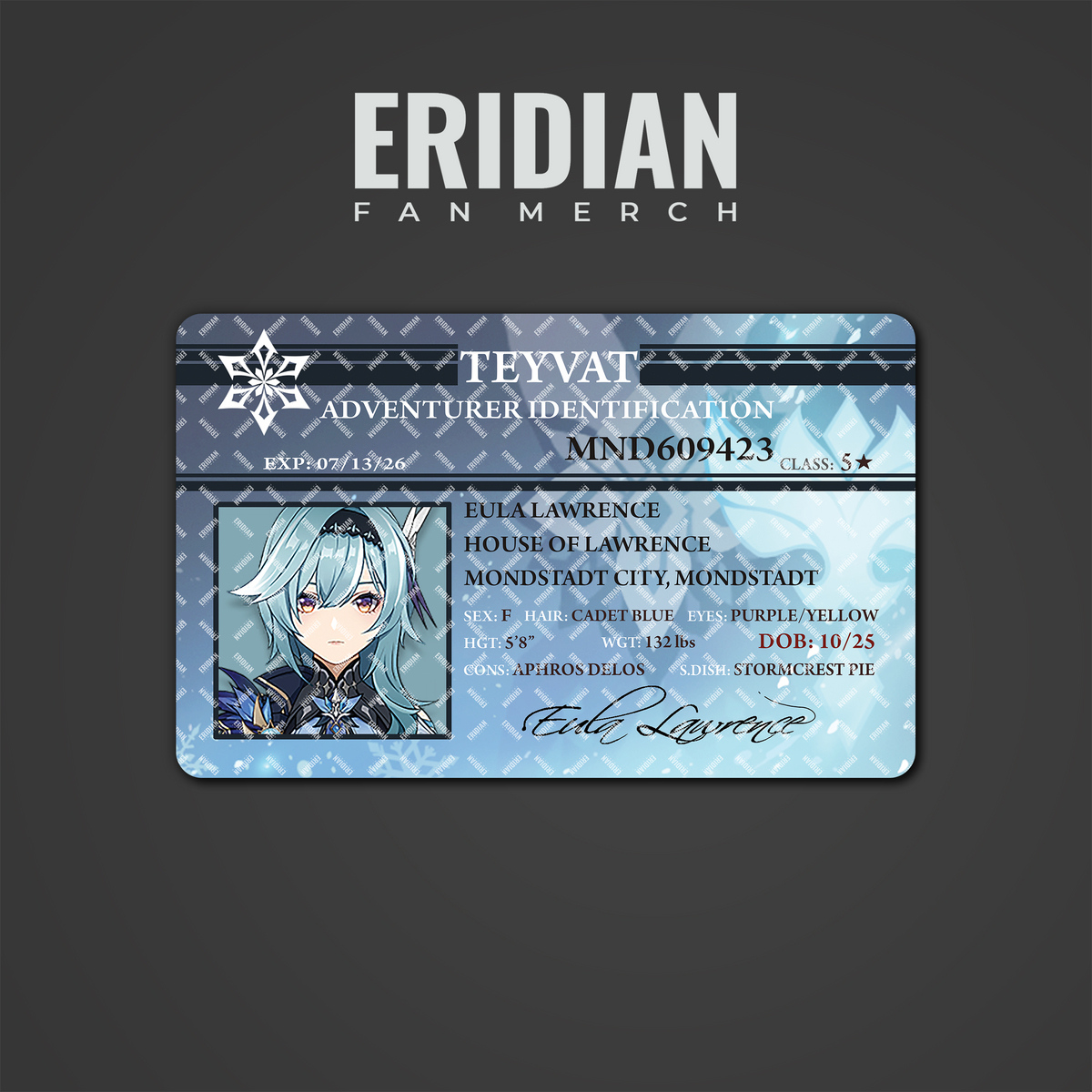 Genshin Impact Adventurer Identification
