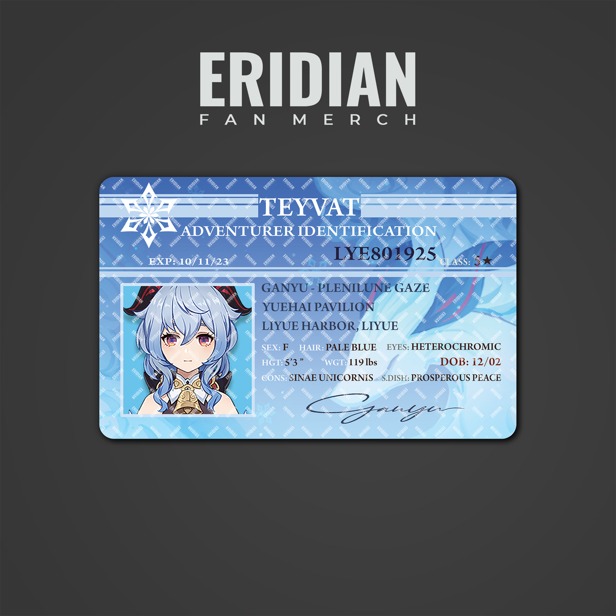 Genshin Impact Adventurer Identification