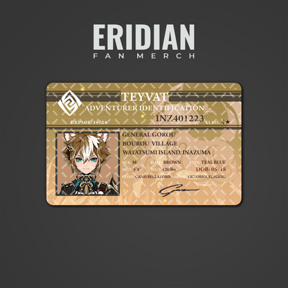 Genshin Impact Adventurer Identification