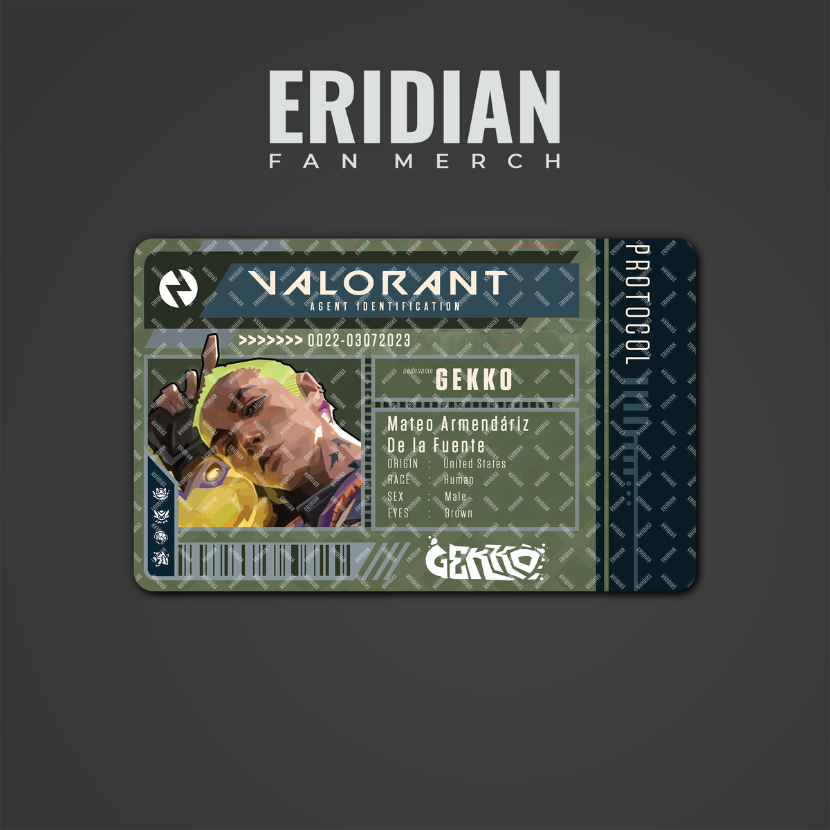 Valorant Protocol Agent Identification