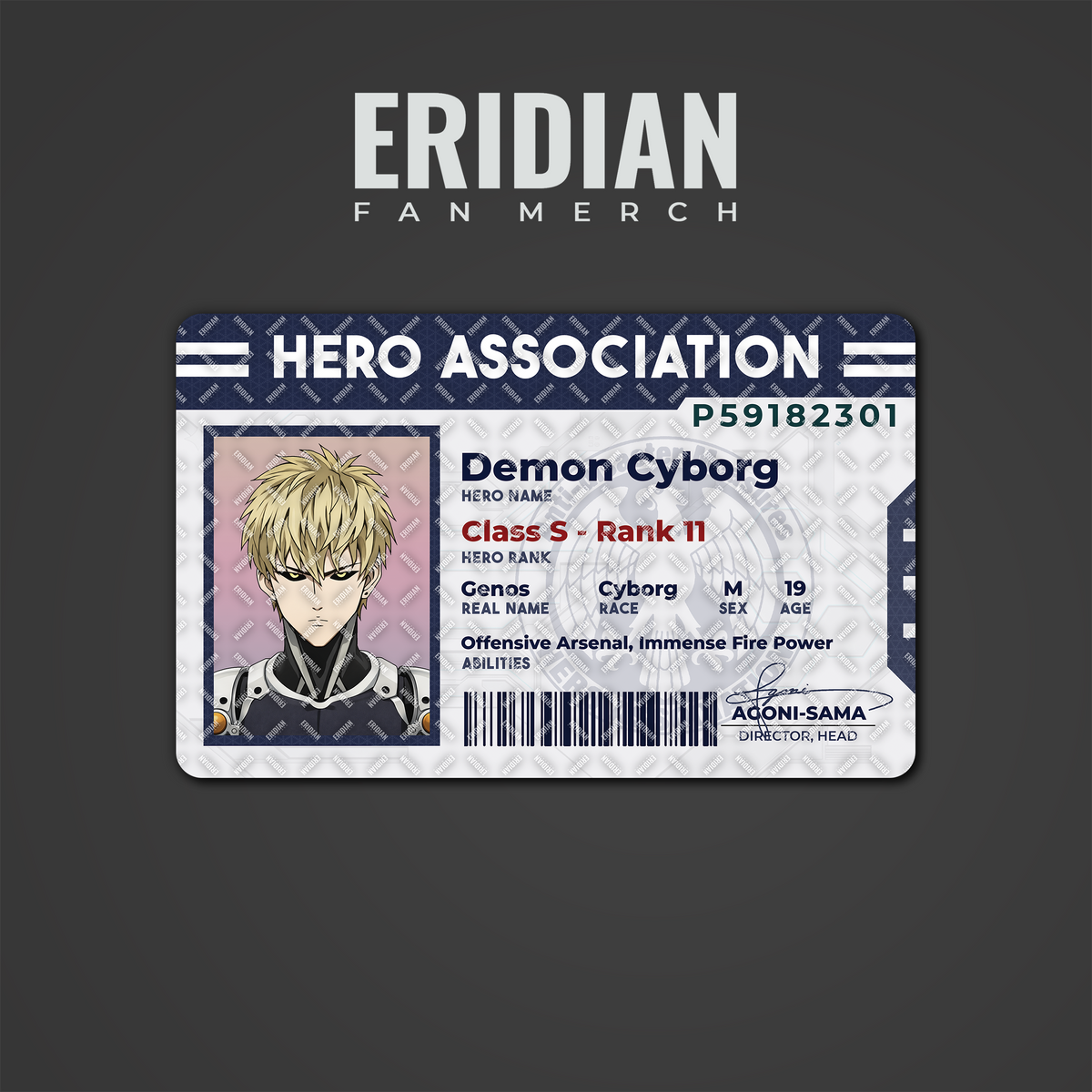 One Punch Man Hero Association ID