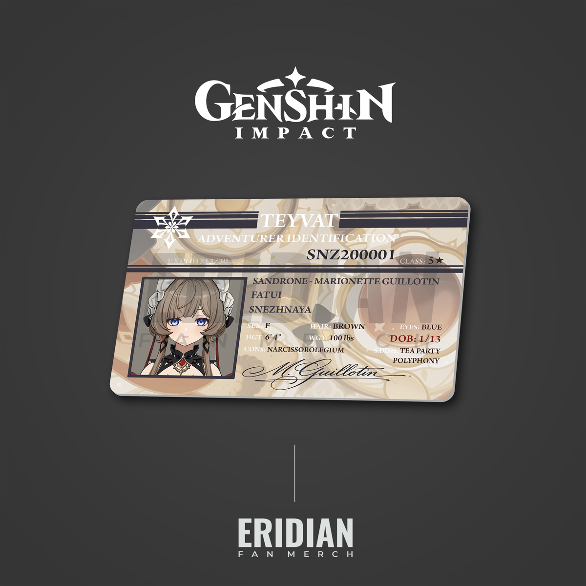 Genshin Impact Adventurer Identification