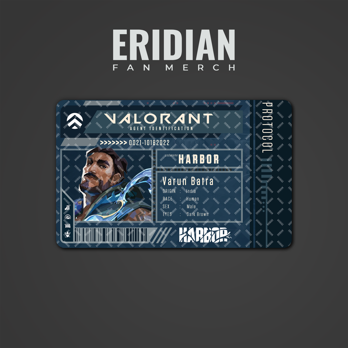 Valorant Protocol Agent Identification