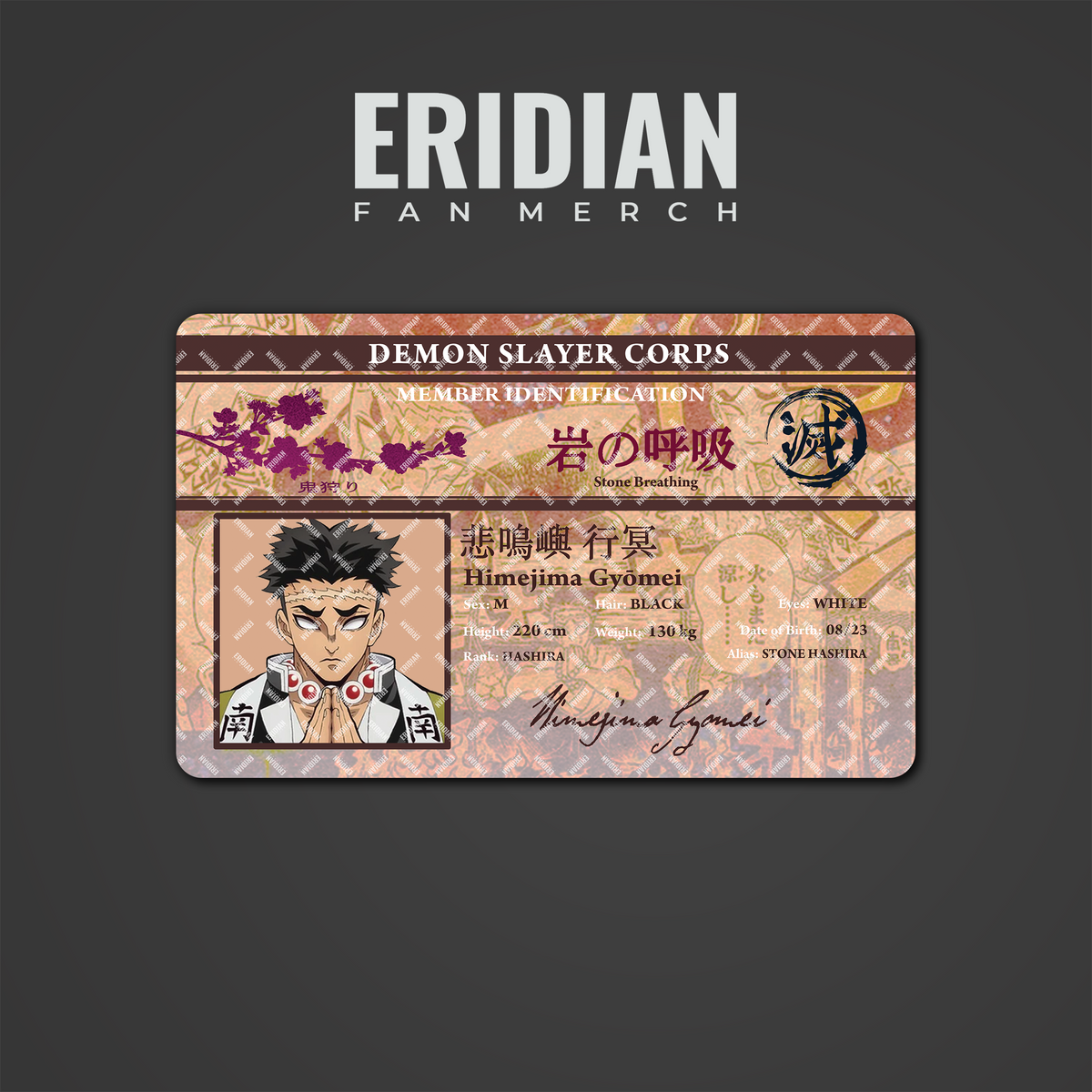 Demon Slayer Corps Member Identification