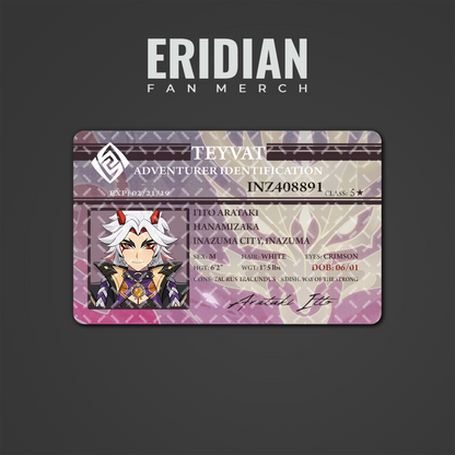 Genshin Impact Adventurer Identification