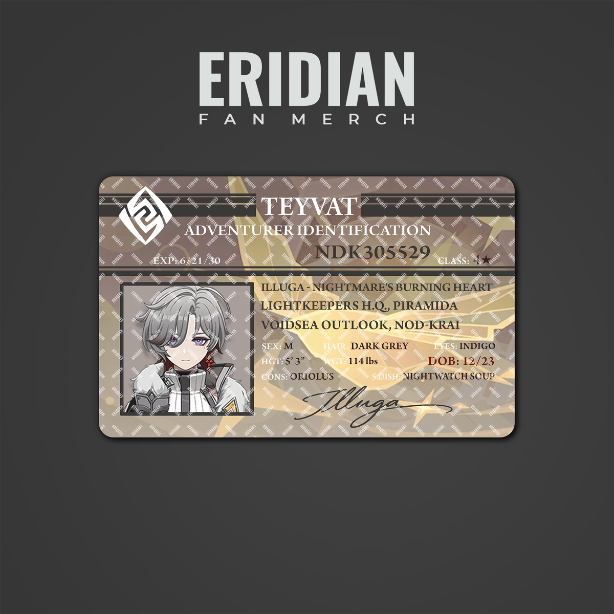 Genshin Impact Adventurer Identification