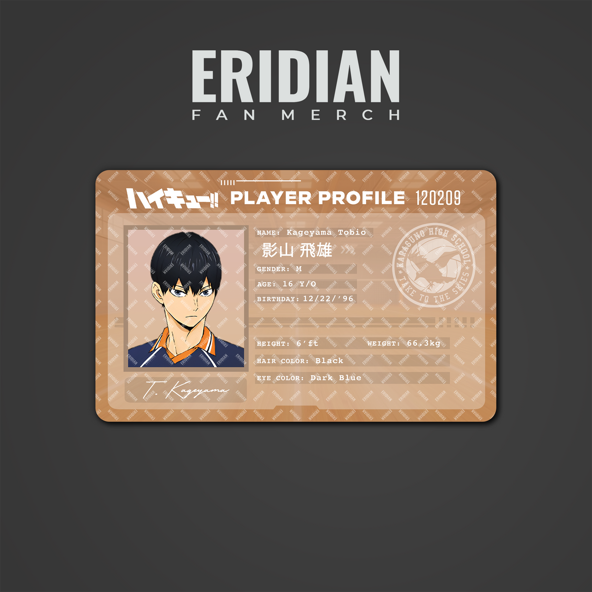 Haikyuu!! Player Profile ID