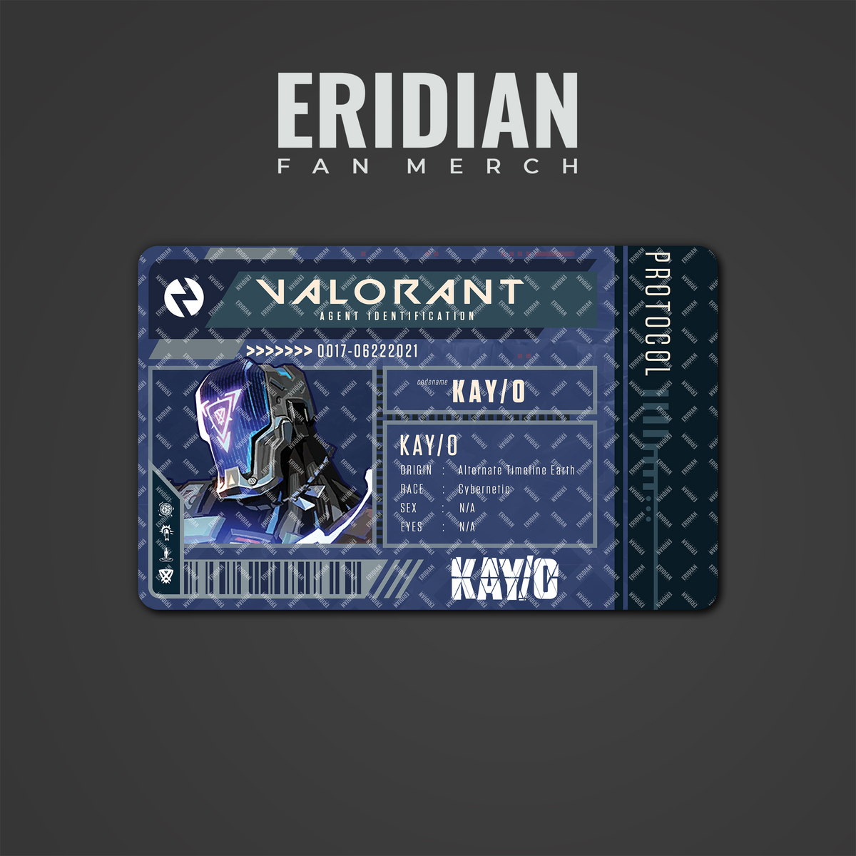 Valorant Protocol Agent Identification