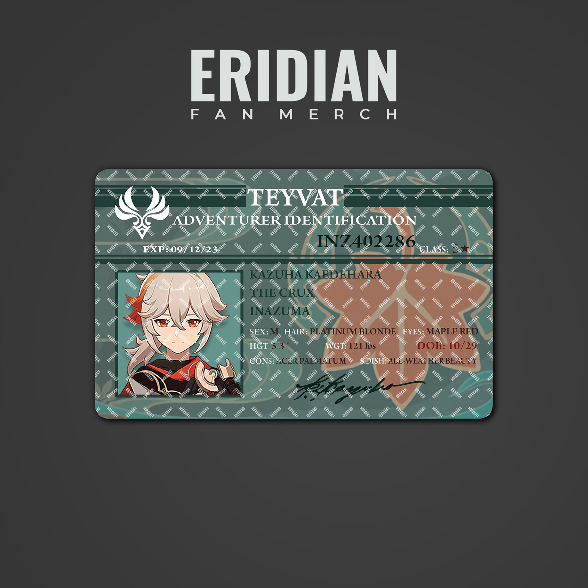 Genshin Impact Adventurer Identification