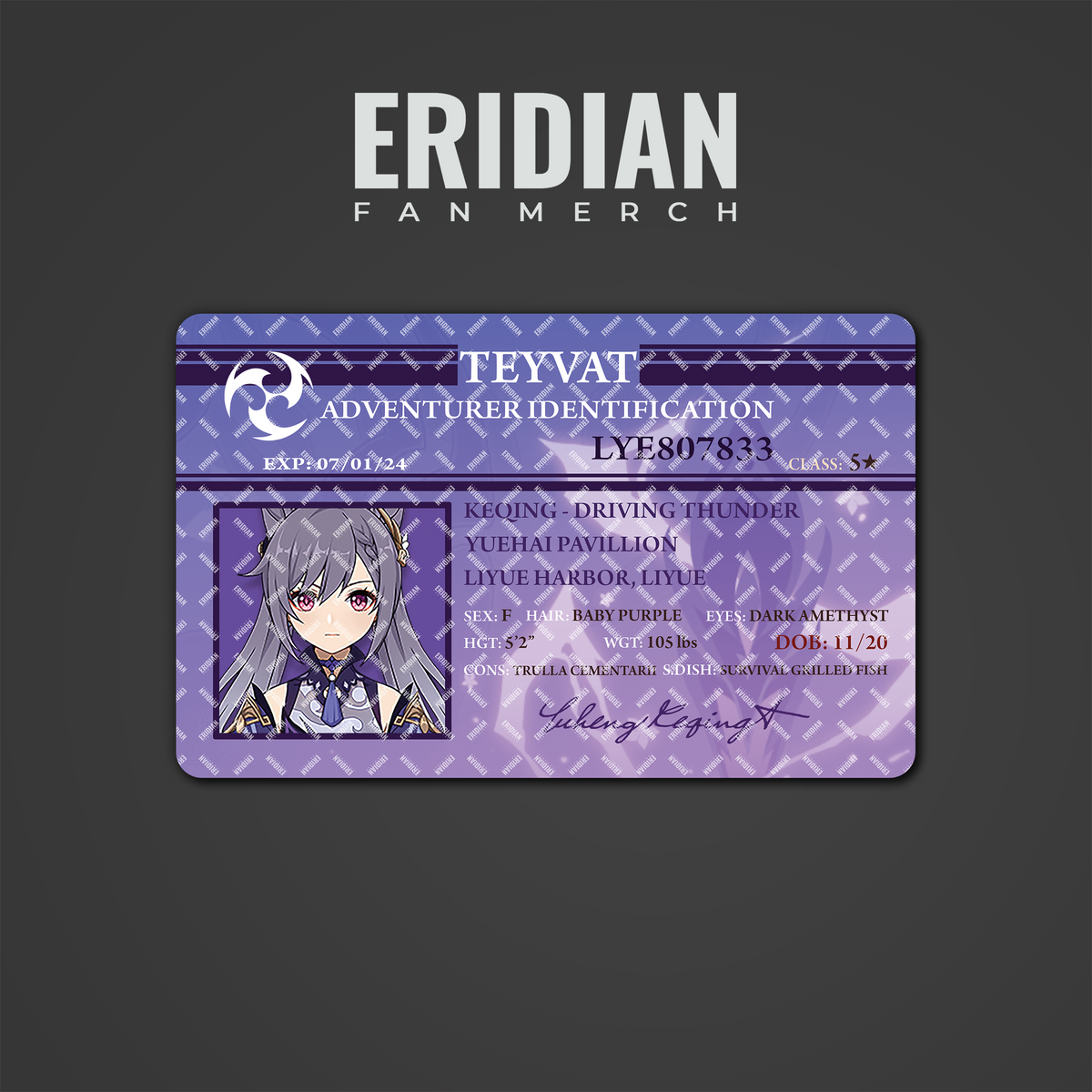 Genshin Impact Adventurer Identification