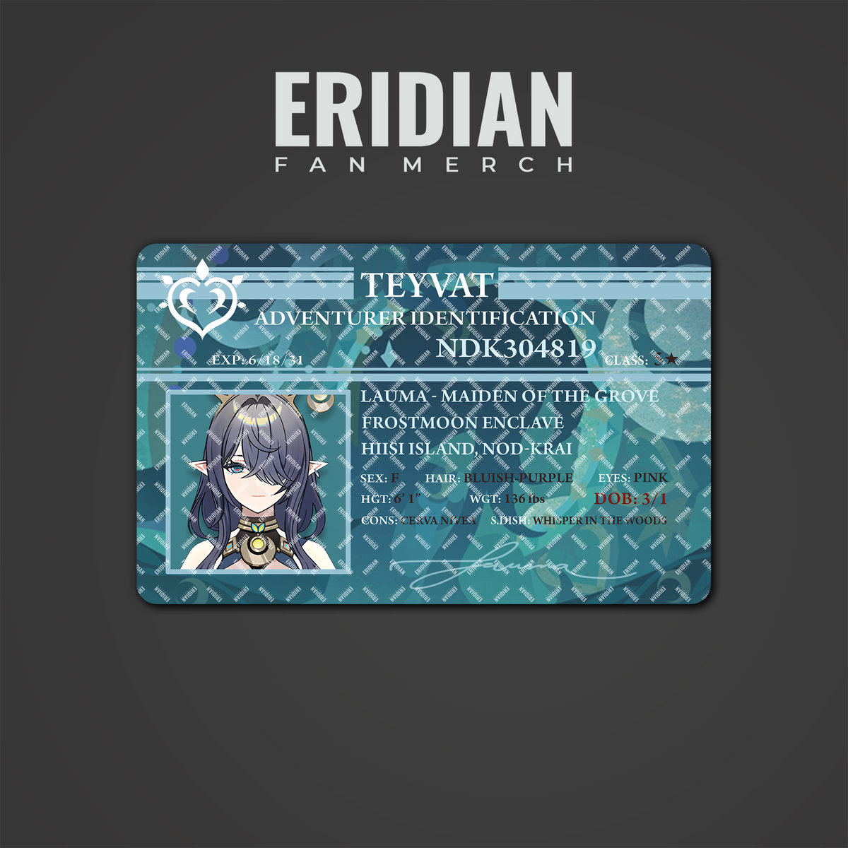 Genshin Impact Adventurer Identification