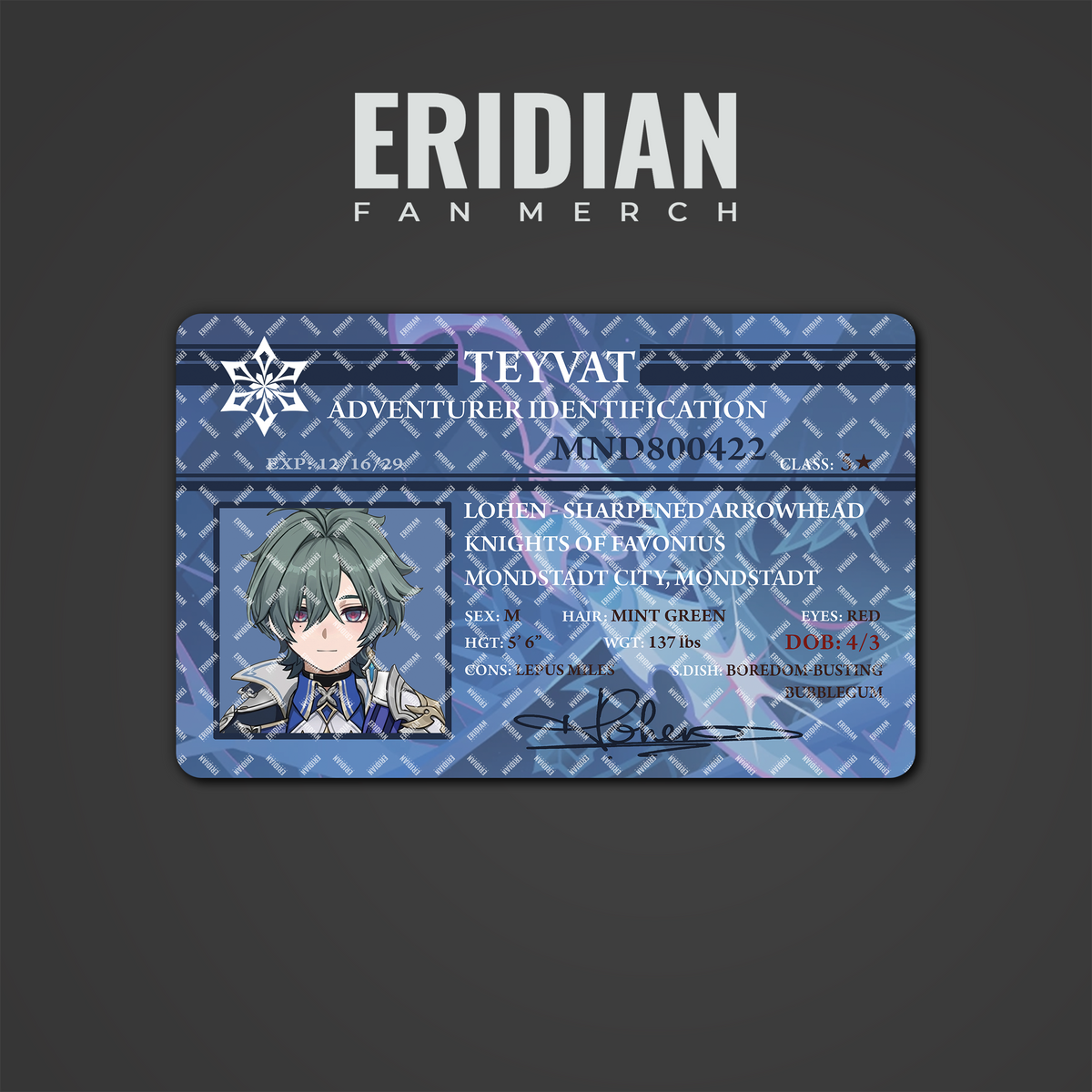Genshin Impact Adventurer Identification