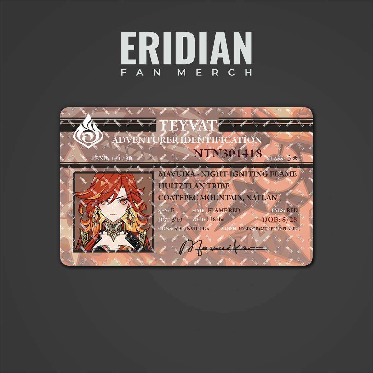 Genshin Impact Adventurer Identification