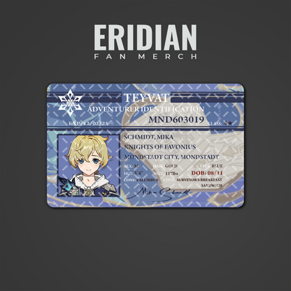 Genshin Impact Adventurer Identification