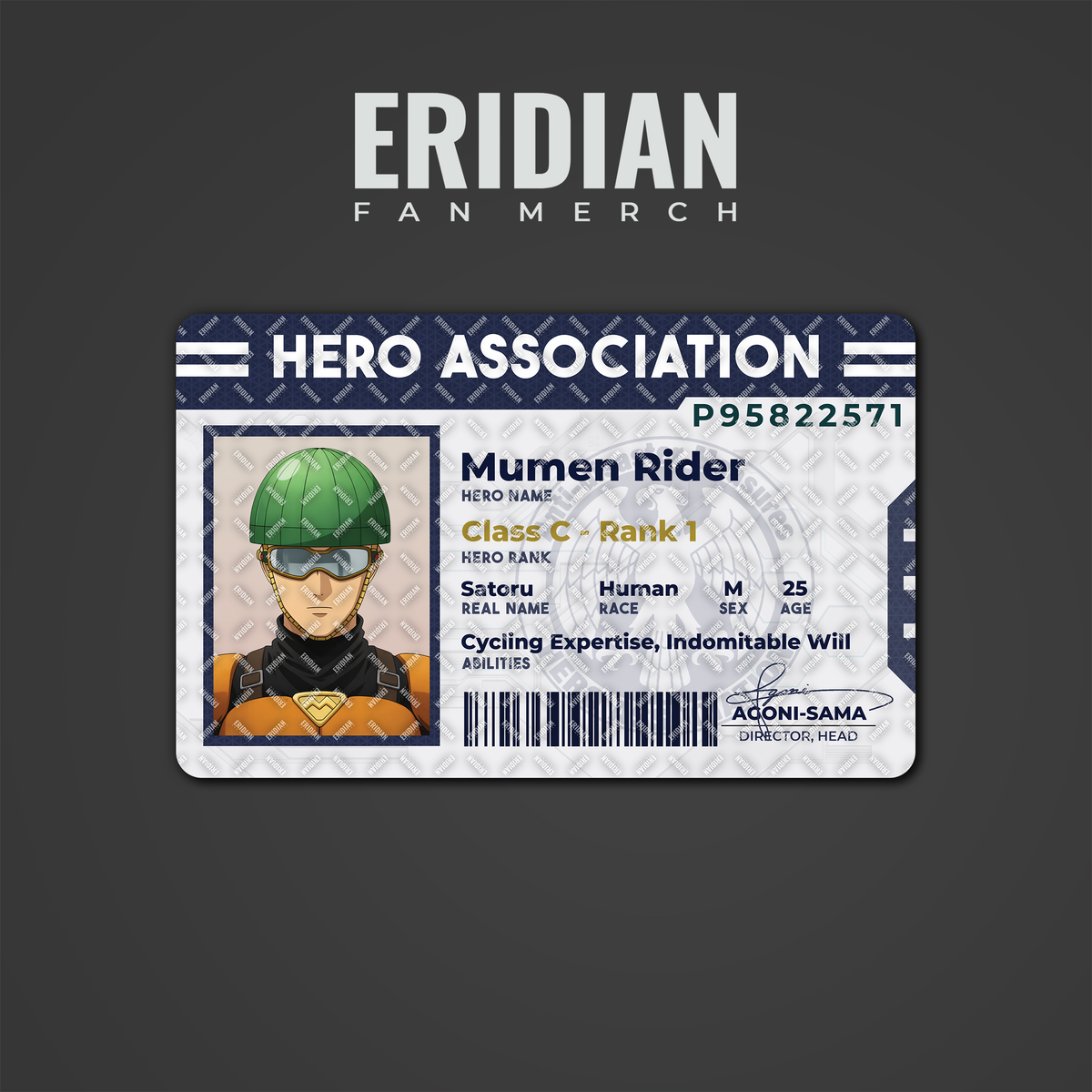 One Punch Man Hero Association ID