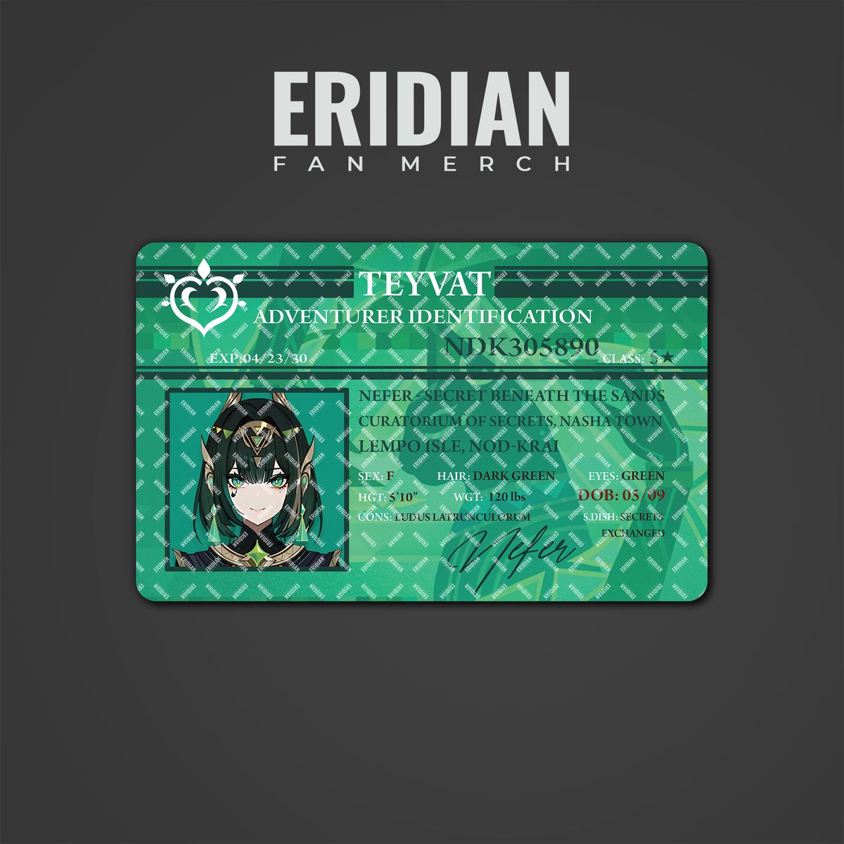 Genshin Impact Adventurer Identification