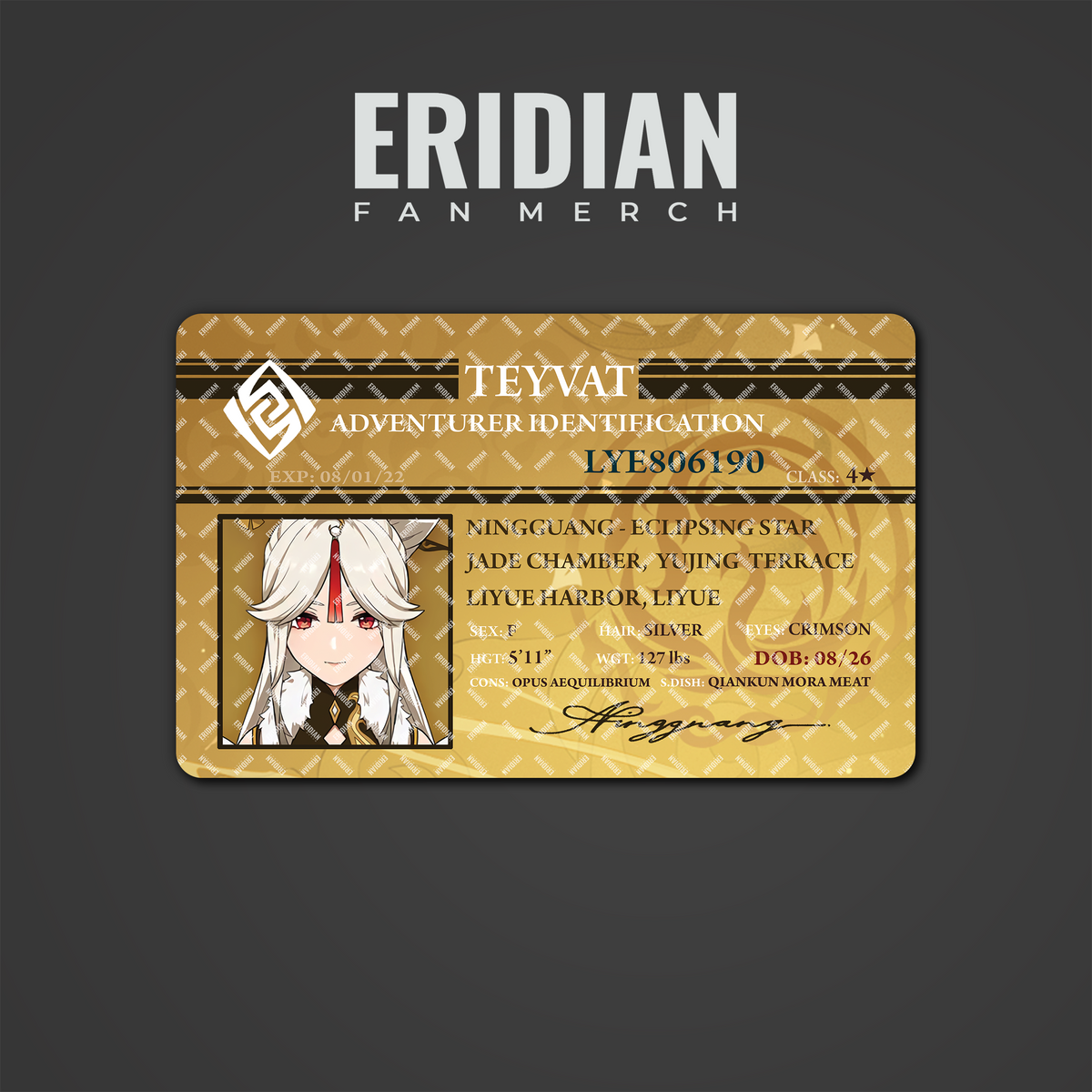Genshin Impact Adventurer Identification