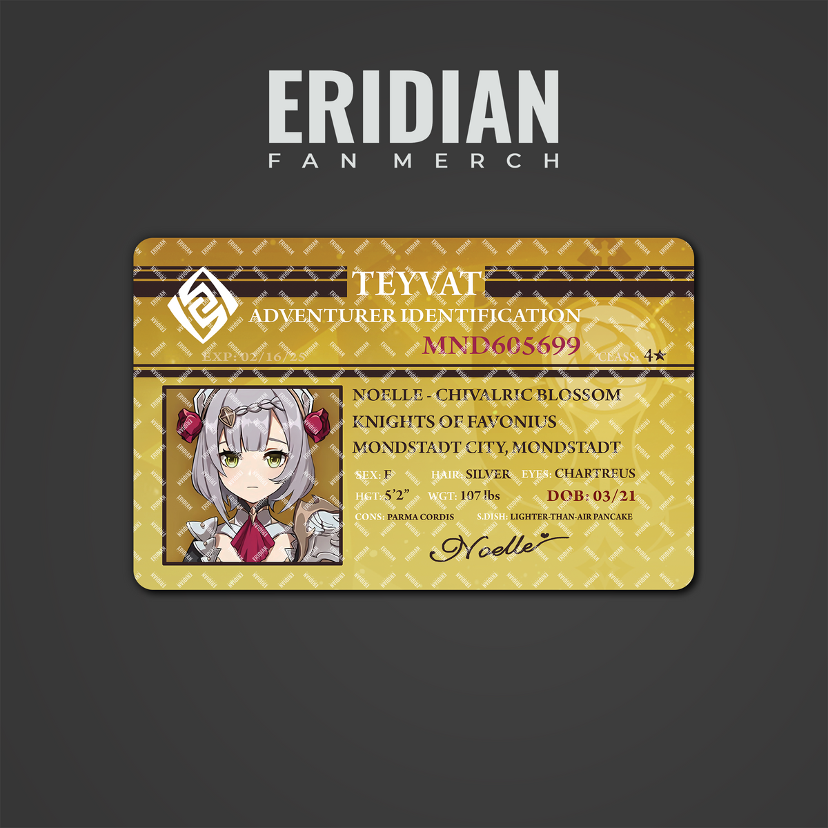 Genshin Impact Adventurer Identification