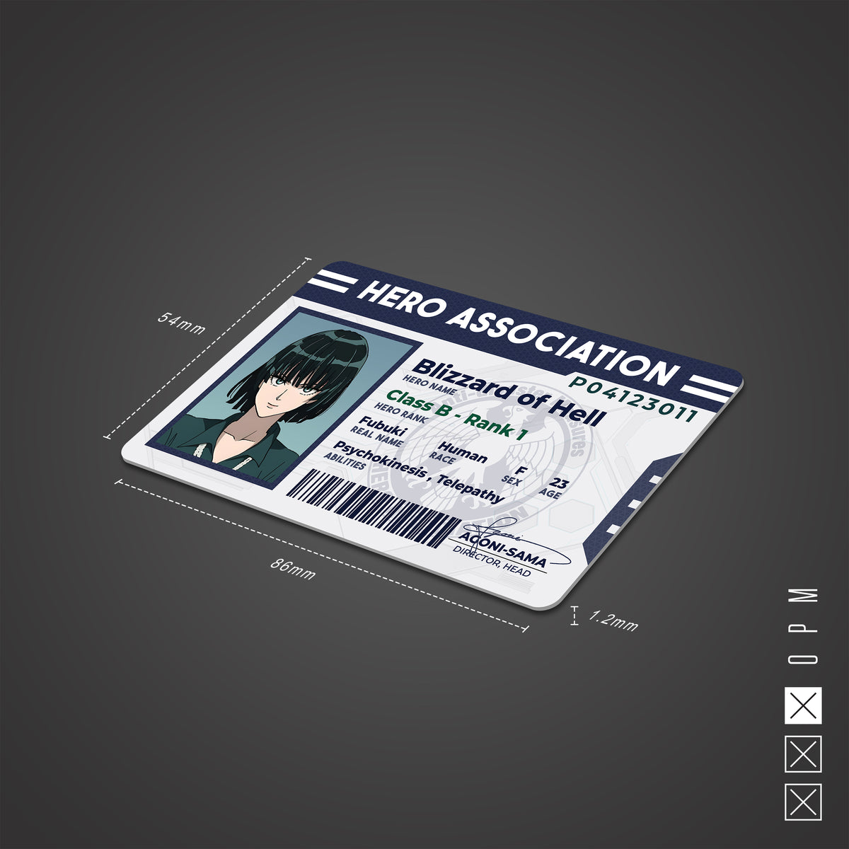 One Punch Man Hero Association ID
