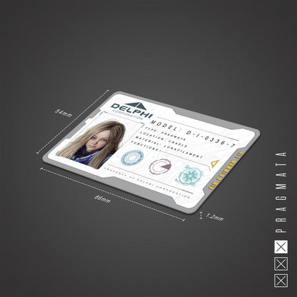 Pragmata: Delphi Corporation ID