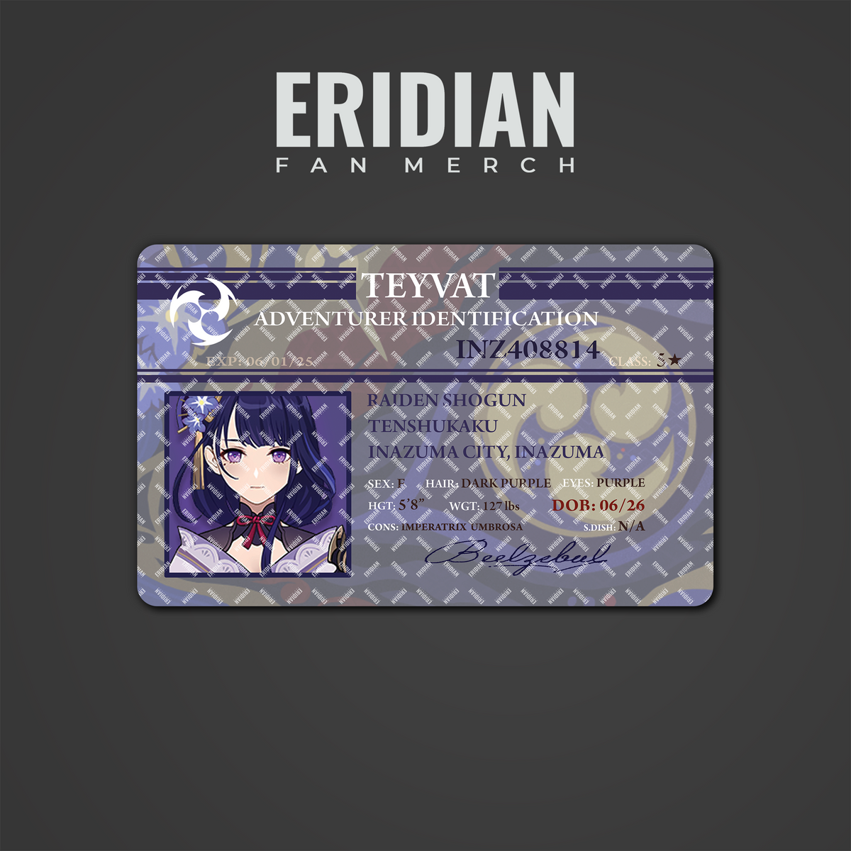 Genshin Impact Adventurer Identification