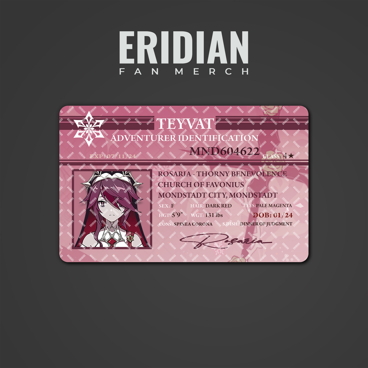 Genshin Impact Adventurer Identification