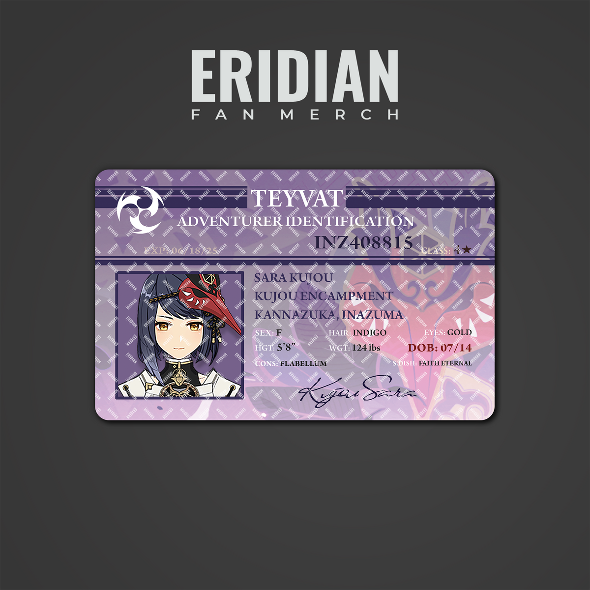 Genshin Impact Adventurer Identification