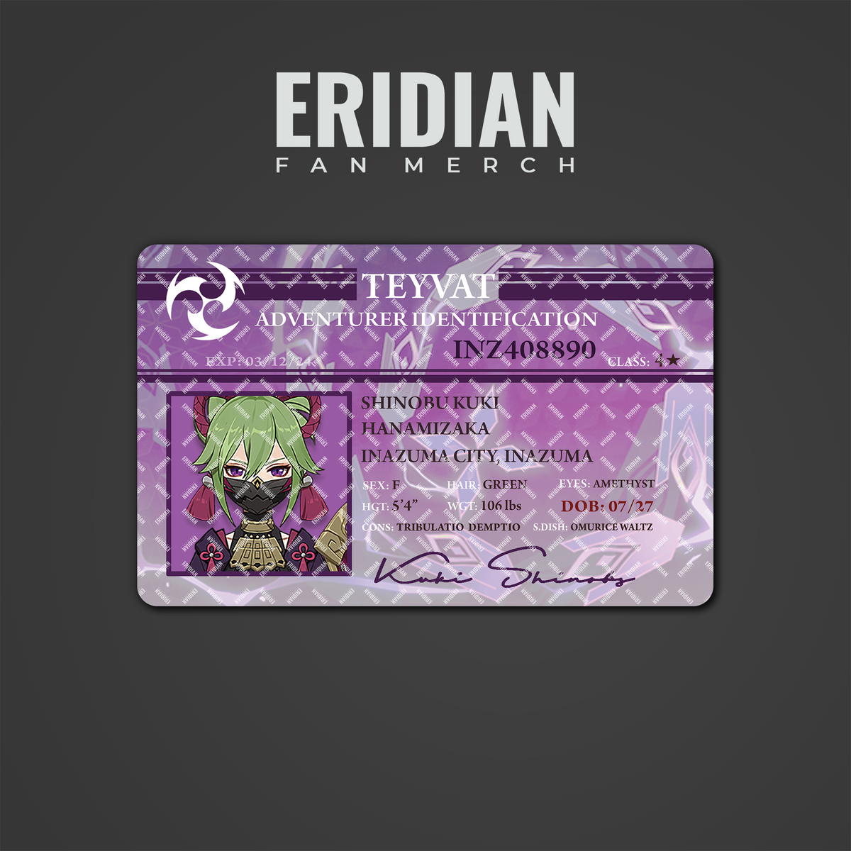 Genshin Impact Adventurer Identification