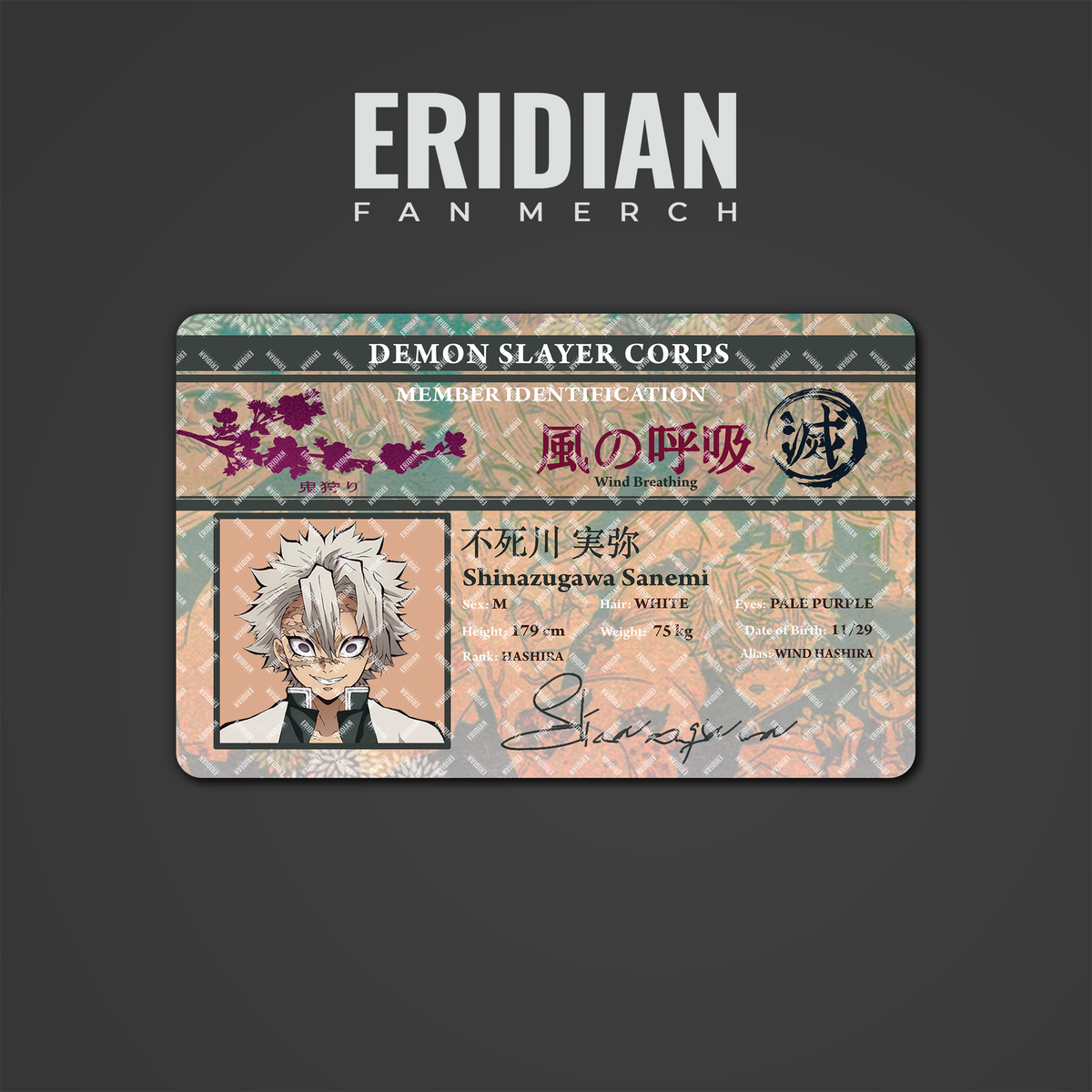 Demon Slayer Corps Member Identification