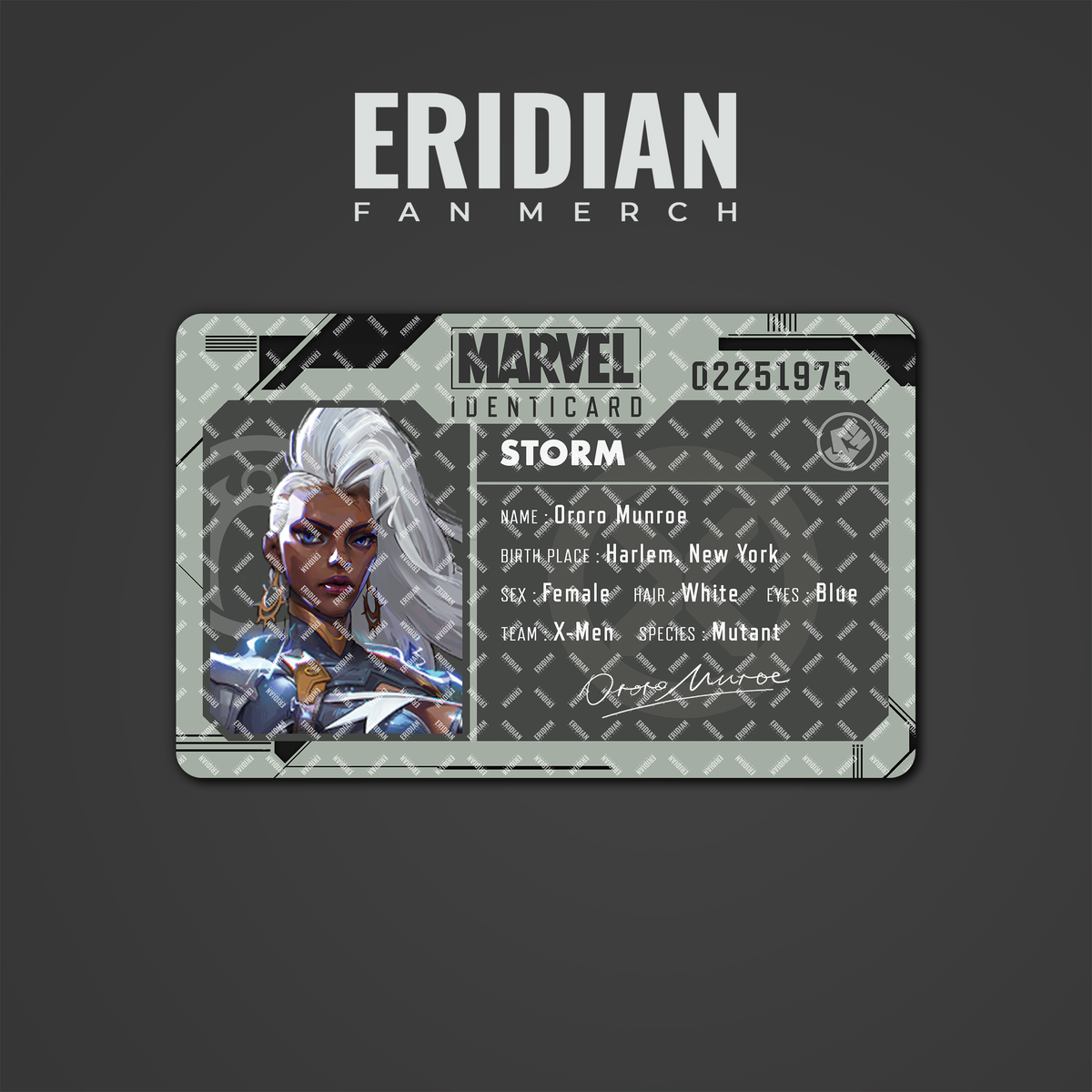 Marvel Identicards