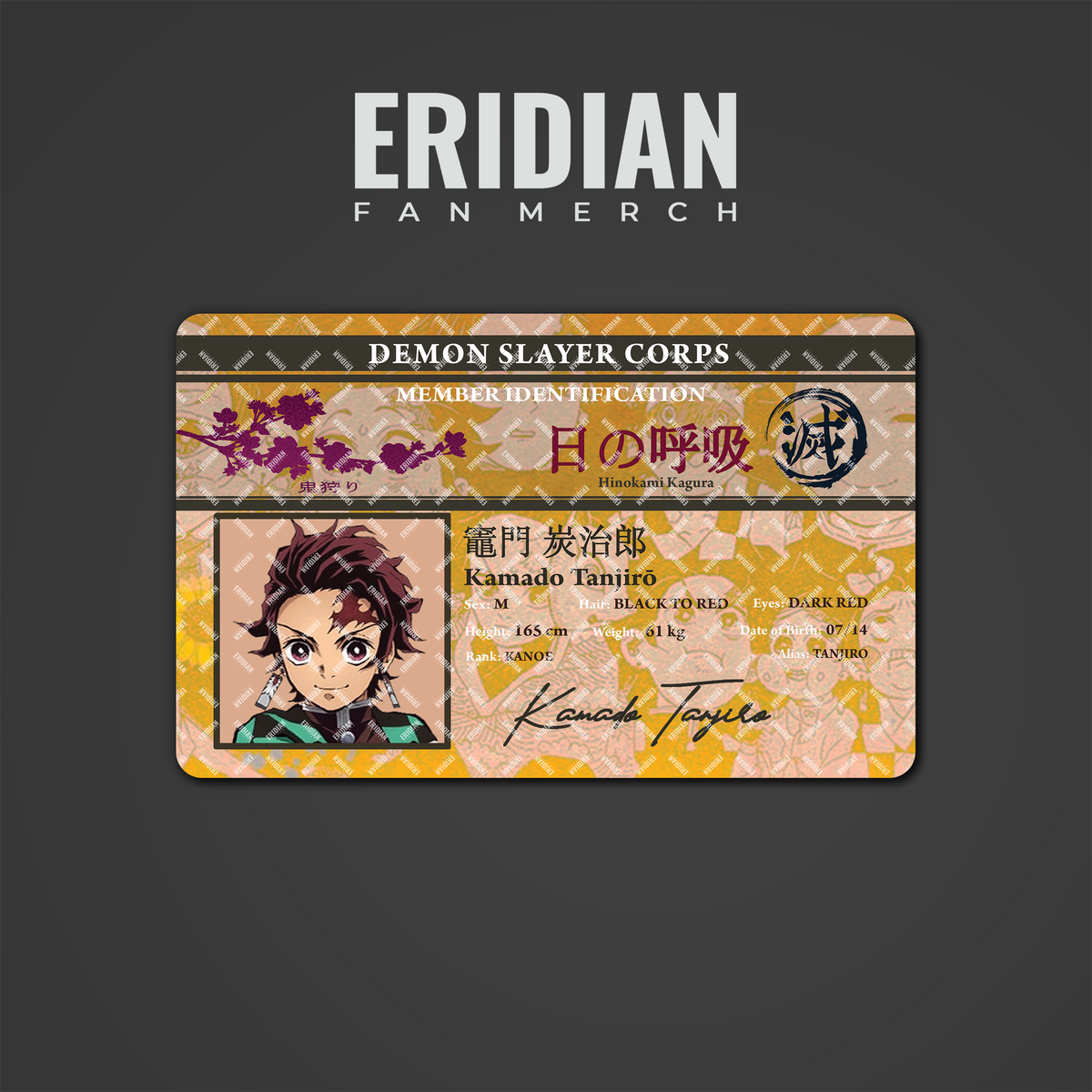 Demon Slayer Corps Member Identification