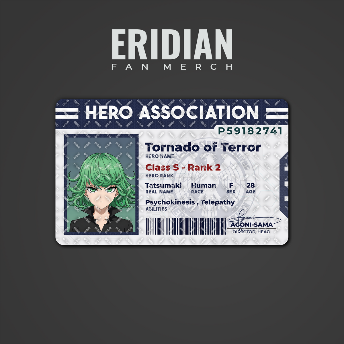 One Punch Man Hero Association ID