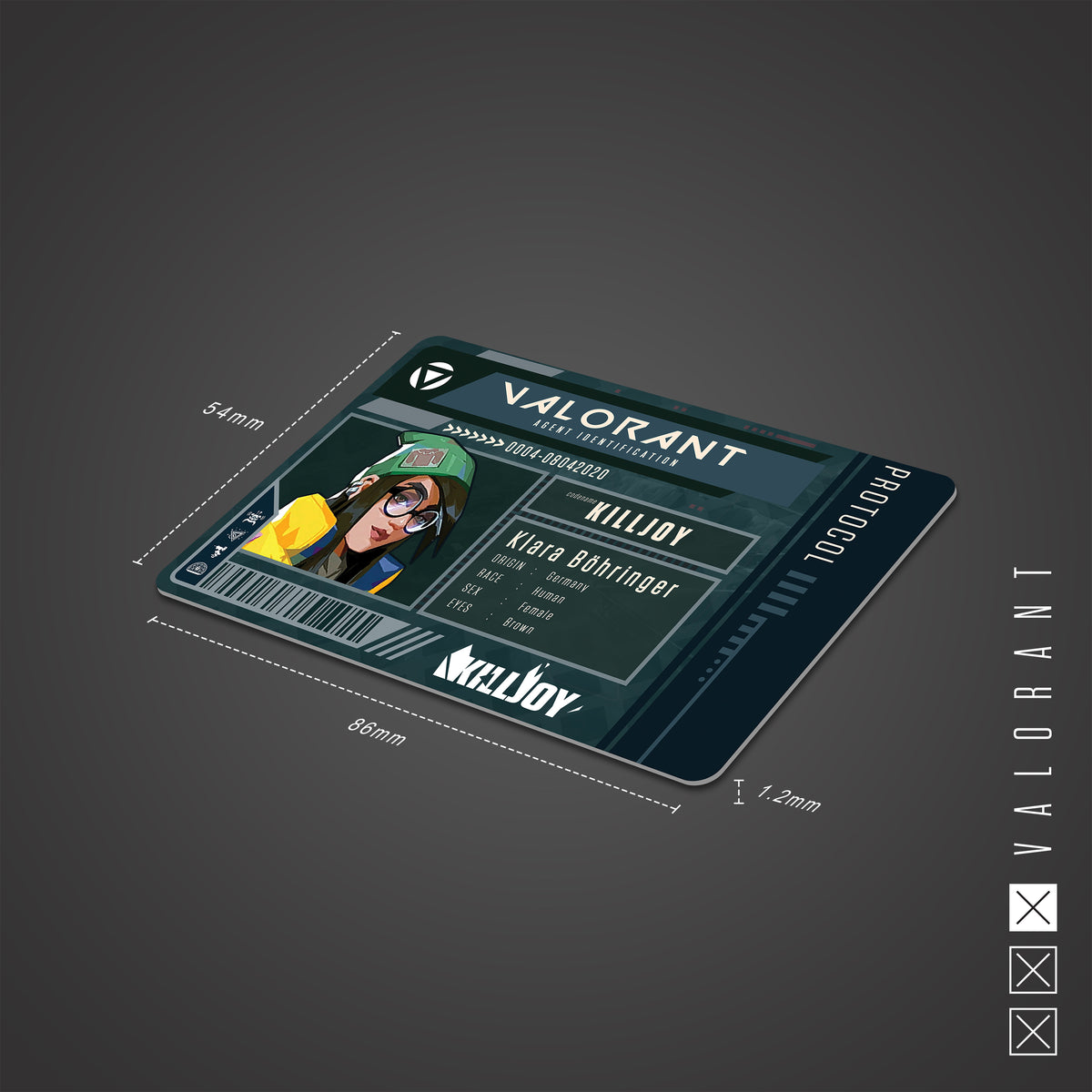 Valorant Protocol Agent Identification