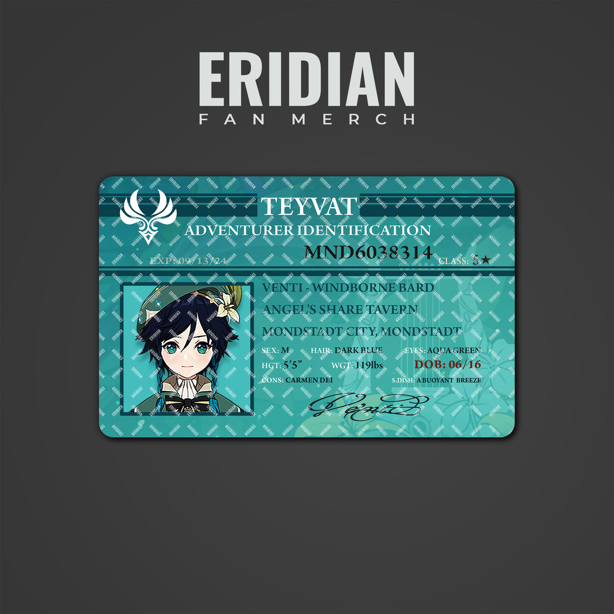 Genshin Impact Adventurer Identification