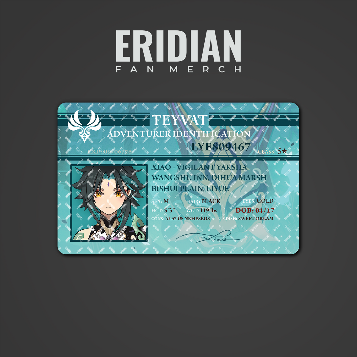 Genshin Impact Adventurer Identification