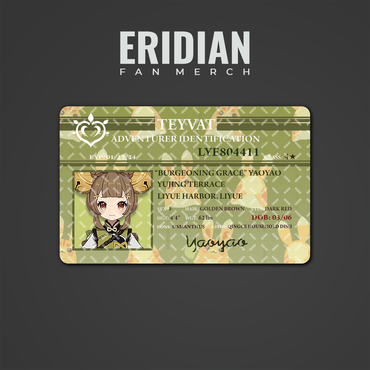 Genshin Impact Adventurer Identification